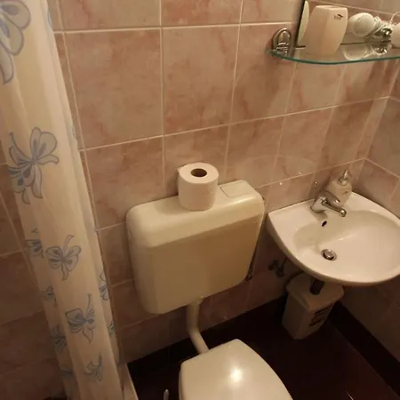 Guest house Darko 2*